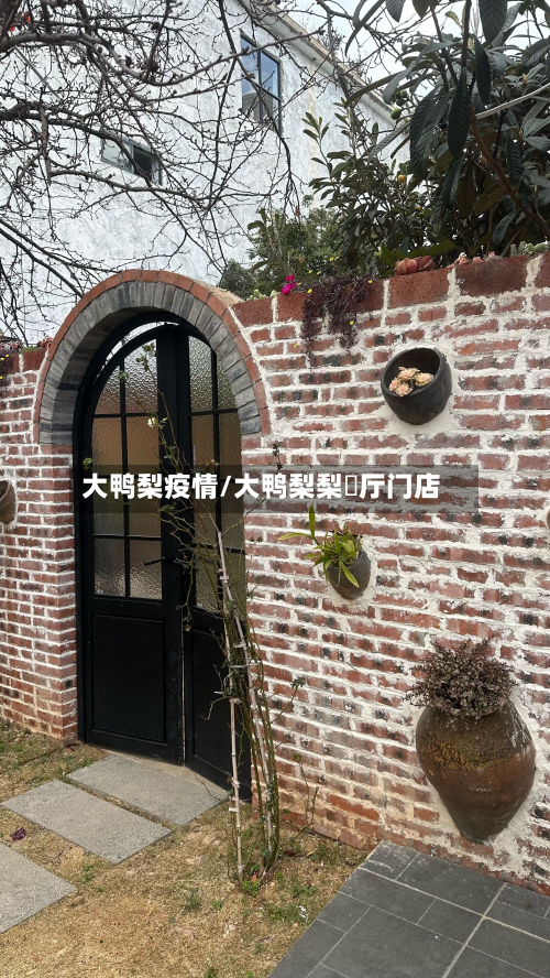 大鸭梨疫情/大鸭梨梨歺厅门店-第1张图片