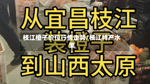 枝江橙子价位行情走势/枝江特产水果-第1张图片
