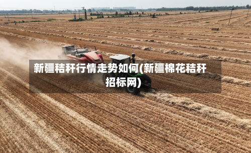 新疆秸秆行情走势如何(新疆棉花秸秆招标网)-第1张图片