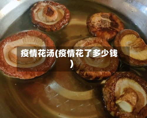 疫情花汤(疫情花了多少钱)-第3张图片