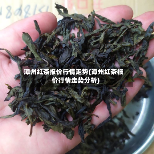 漳州红茶报价行情走势(漳州红茶报价行情走势分析)-第3张图片
