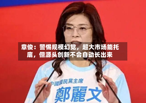 章俊：警惕规模幻觉	，超大市场能托底，但源头创新不会自动长出来-第1张图片