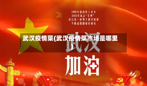 武汉疫情菜(武汉疫情菜市场是哪里)-第2张图片