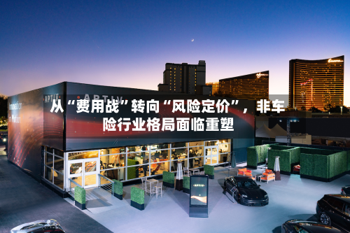 从“费用战	”转向“风险定价”，非车险行业格局面临重塑-第3张图片