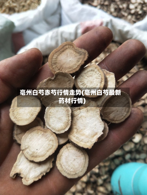 亳州白芍赤芍行情走势(亳州白芍最新药材行情)-第1张图片