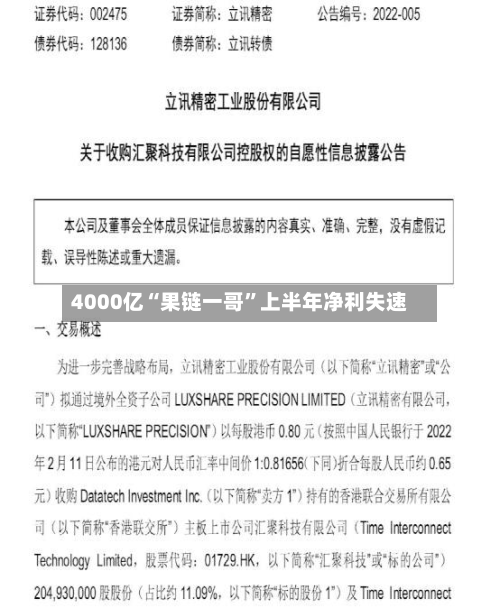 4000亿“果链一哥”上半年净利失速-第2张图片
