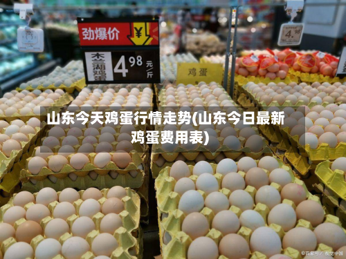 山东今天鸡蛋行情走势(山东今日最新鸡蛋费用表)-第3张图片
