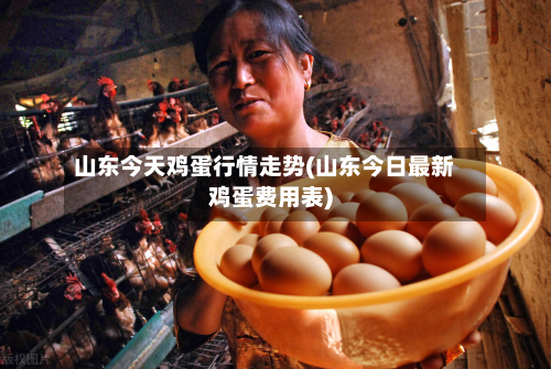 山东今天鸡蛋行情走势(山东今日最新鸡蛋费用表)-第1张图片