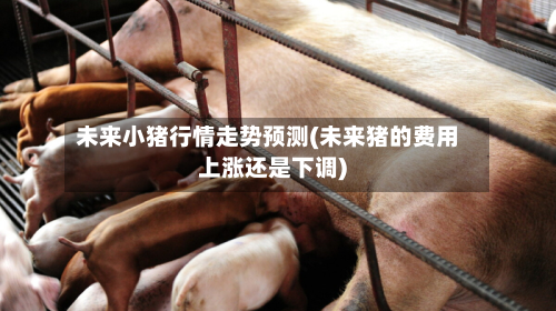 未来小猪行情走势预测(未来猪的费用上涨还是下调)-第2张图片
