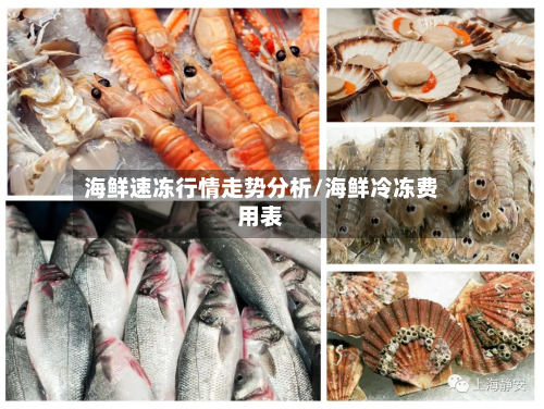 海鲜速冻行情走势分析/海鲜冷冻费用表-第2张图片