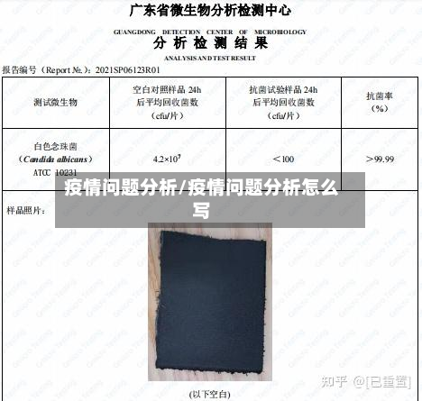疫情问题分析/疫情问题分析怎么写-第2张图片