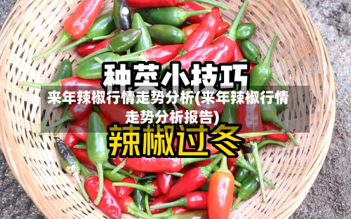 来年辣椒行情走势分析(来年辣椒行情走势分析报告)-第1张图片
