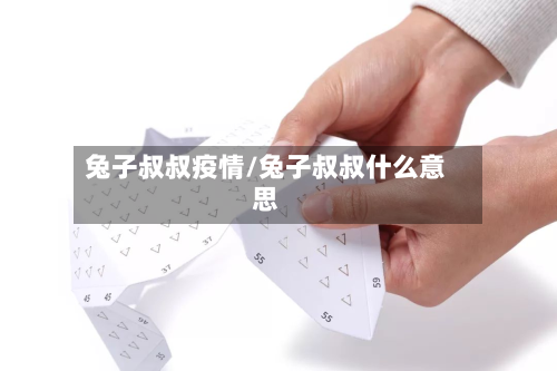兔子叔叔疫情/兔子叔叔什么意思-第2张图片