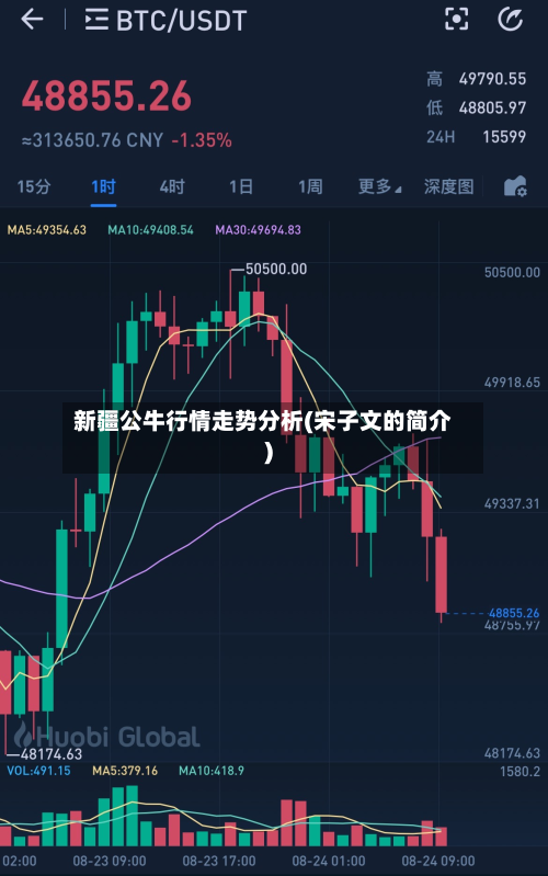 新疆公牛行情走势分析(宋子文的简介)-第1张图片