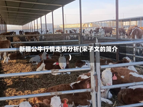 新疆公牛行情走势分析(宋子文的简介)-第2张图片