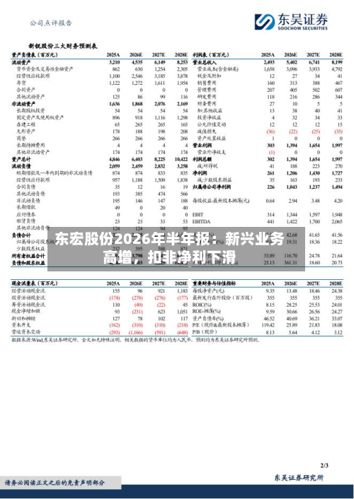 东宏股份2026年半年报：新兴业务高增，扣非净利下滑-第3张图片