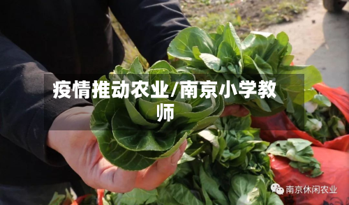 疫情推动农业/南京小学教师-第3张图片