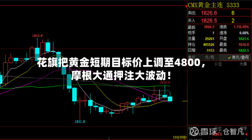 花旗把黄金短期目标价上调至4800	，摩根大通押注大波动！-第1张图片