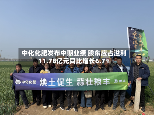 中化化肥发布中期业绩 股东应占溢利11.78亿元同比增长6.7%-第1张图片