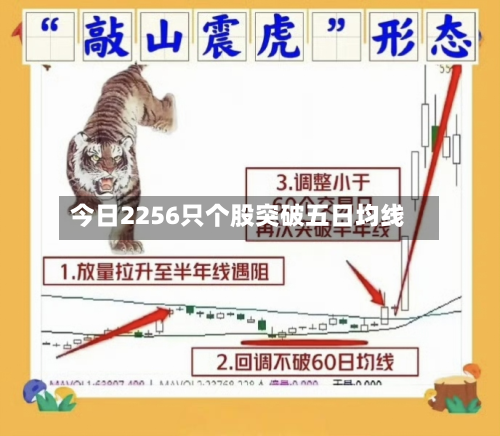 今日2256只个股突破五日均线-第2张图片