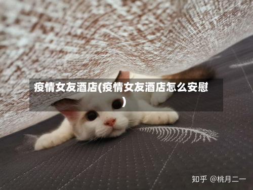 疫情女友酒店(疫情女友酒店怎么安慰)-第1张图片