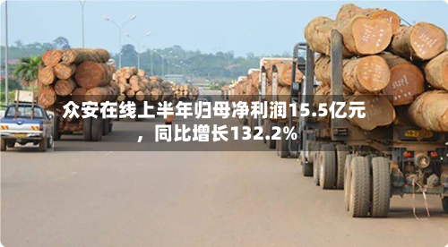 众安在线上半年归母净利润15.5亿元	，同比增长132.2%-第1张图片