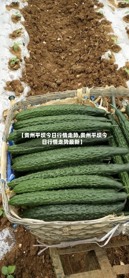 【贵州平坝今日行情走势,贵州平坝今日行情走势最新】-第1张图片