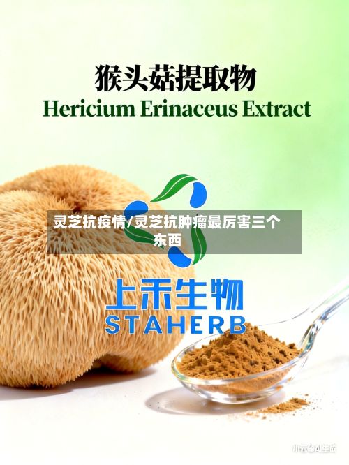 灵芝抗疫情/灵芝抗肿瘤最厉害三个东西-第1张图片