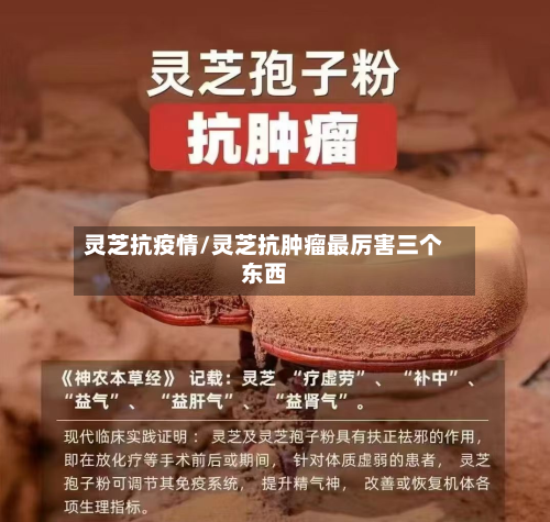 灵芝抗疫情/灵芝抗肿瘤最厉害三个东西-第3张图片