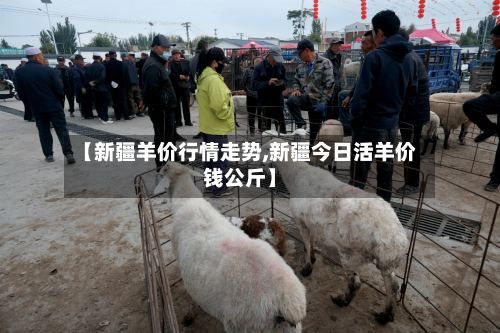 【新疆羊价行情走势,新疆今日活羊价钱公斤】-第1张图片