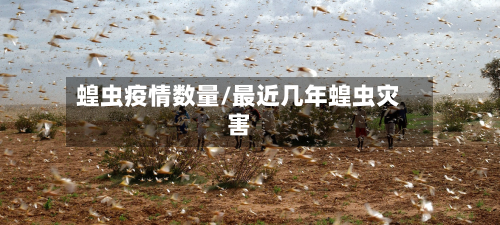 蝗虫疫情数量/最近几年蝗虫灾害-第3张图片