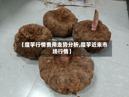 【魔芋行情费用走势分析,魔芋近来市场行情】-第2张图片