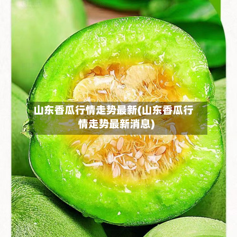 山东香瓜行情走势最新(山东香瓜行情走势最新消息)-第1张图片