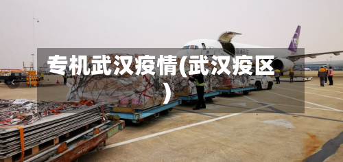 专机武汉疫情(武汉疫区)-第2张图片