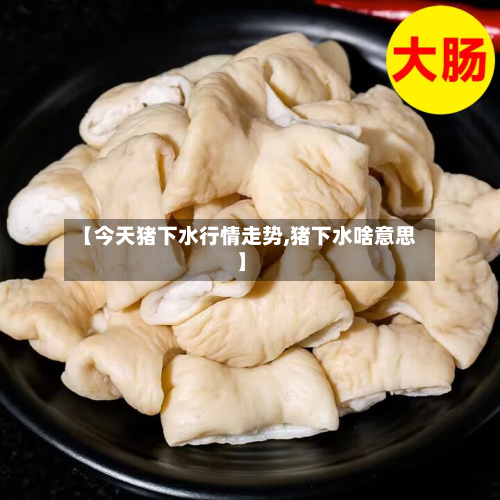 【今天猪下水行情走势,猪下水啥意思】-第1张图片