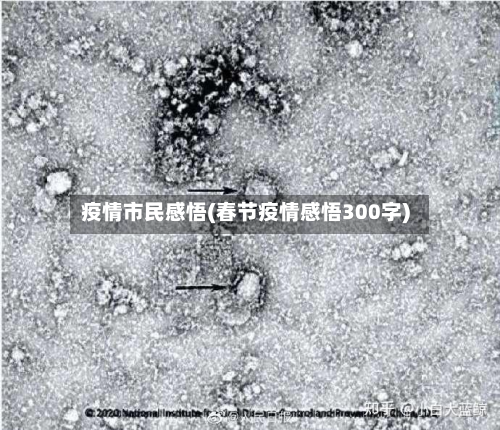 疫情市民感悟(春节疫情感悟300字)-第2张图片