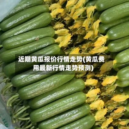 近期黄瓜报价行情走势(黄瓜费用最新行情走势预测)-第2张图片