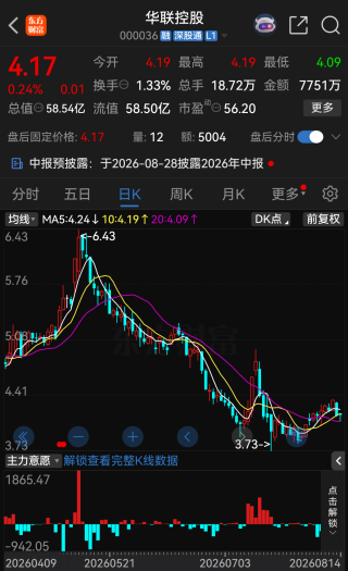 华联控股产业转型突然遇阻，拟投资阿根廷锂盐湖项目触发审查