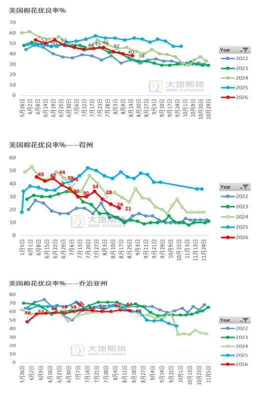 棉花：外盘创新高，郑棉能否突破？