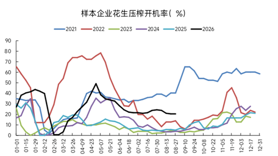 花生：为何没走出豆一的行情？